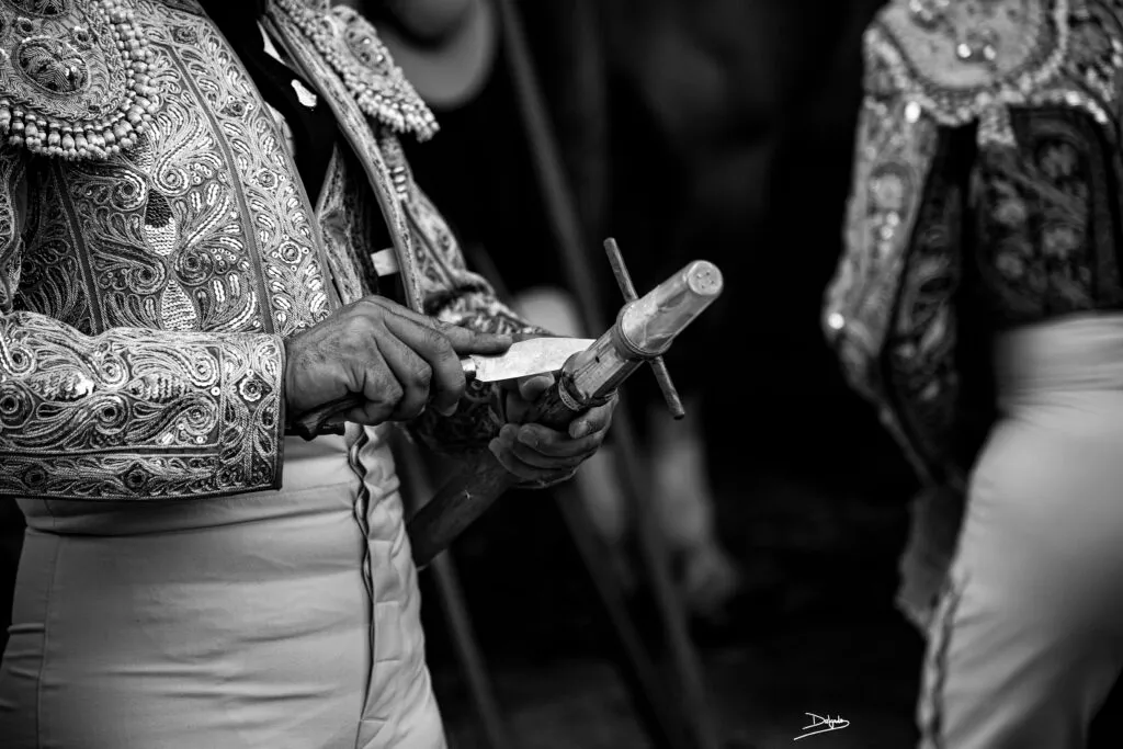 Fotografía taurina en Granada