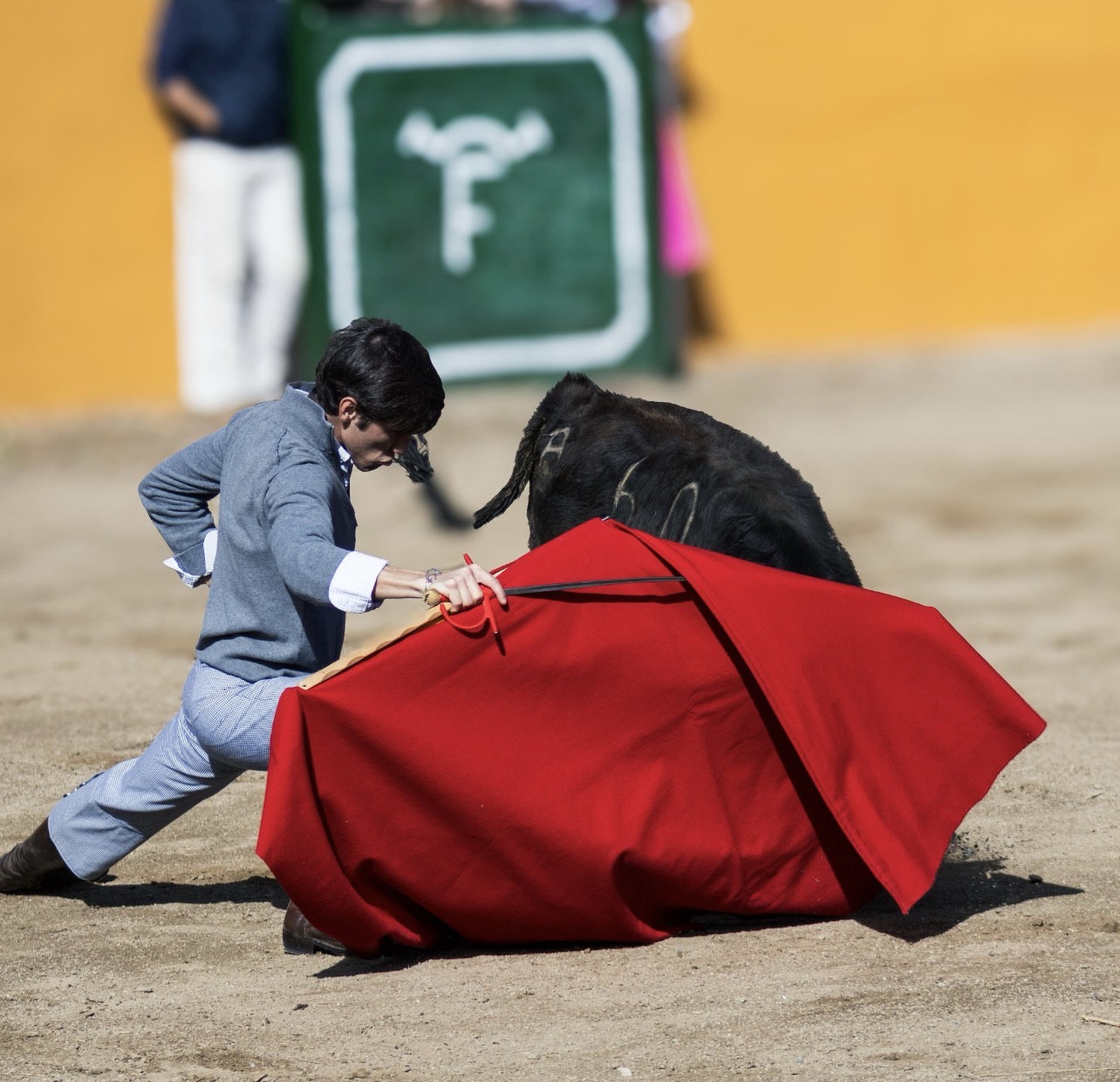 Festejo taurino