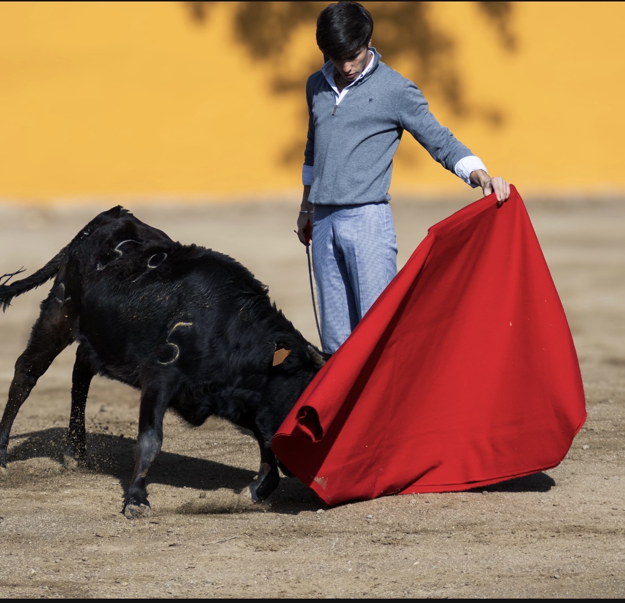 Festejo taurino