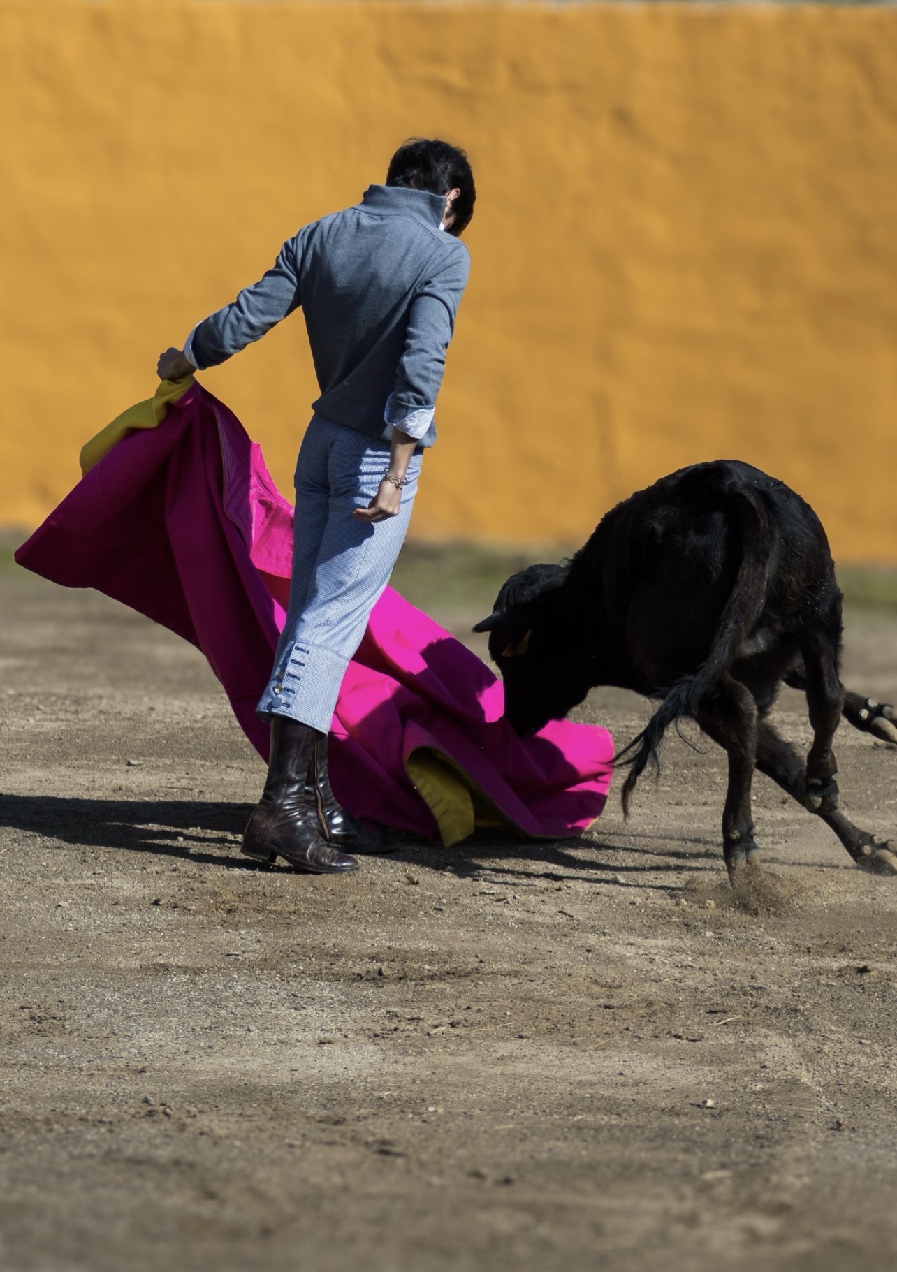 Festejo taurino