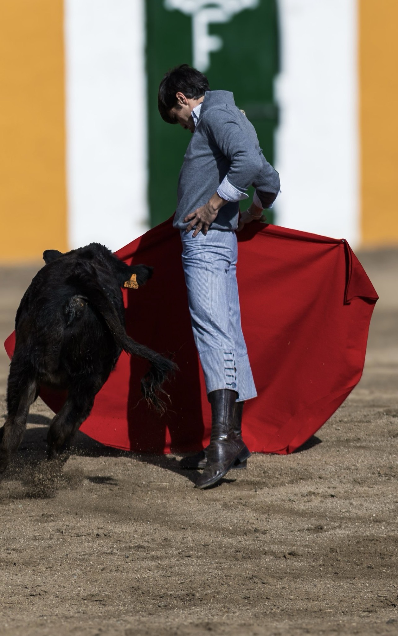 Festejo taurino