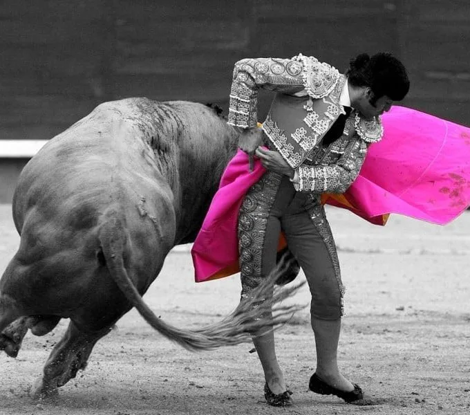 Corrida de toros