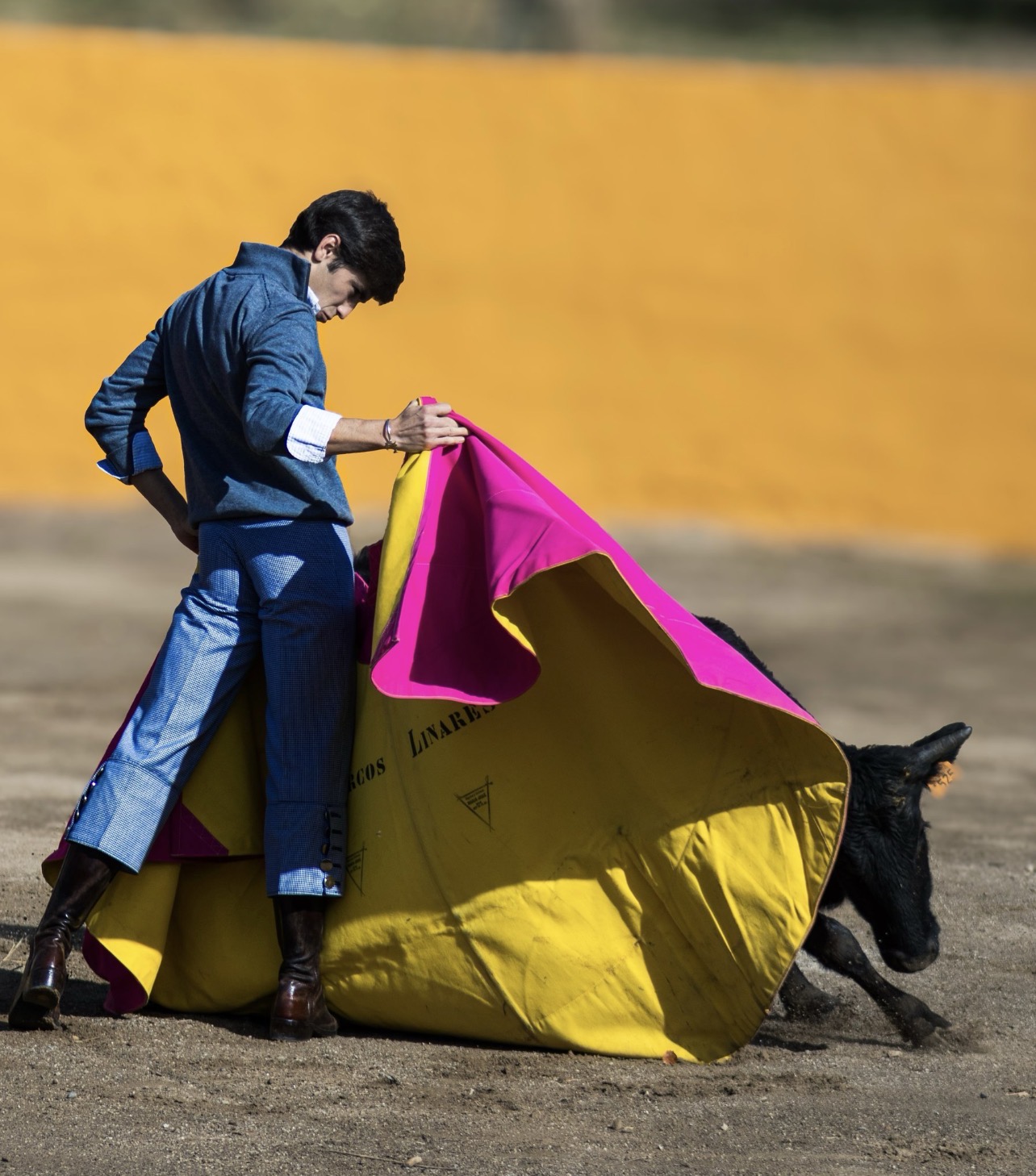 Tentadero